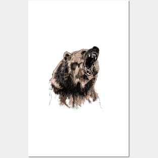 Bear Posters and Art